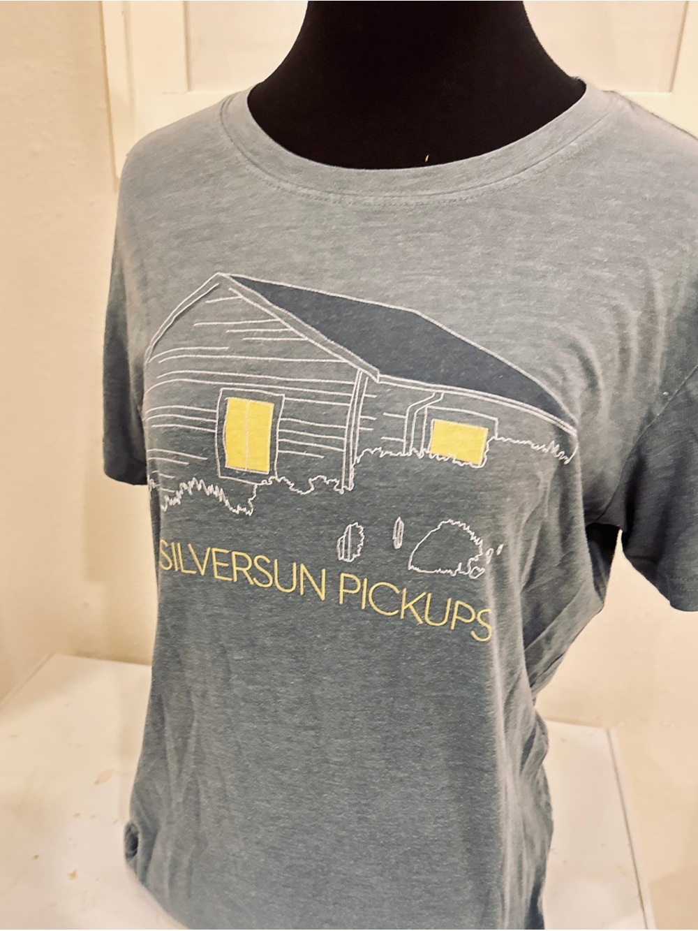 Silversun Pickups Band Tee in Faded Teal with Yellow Accents soft women